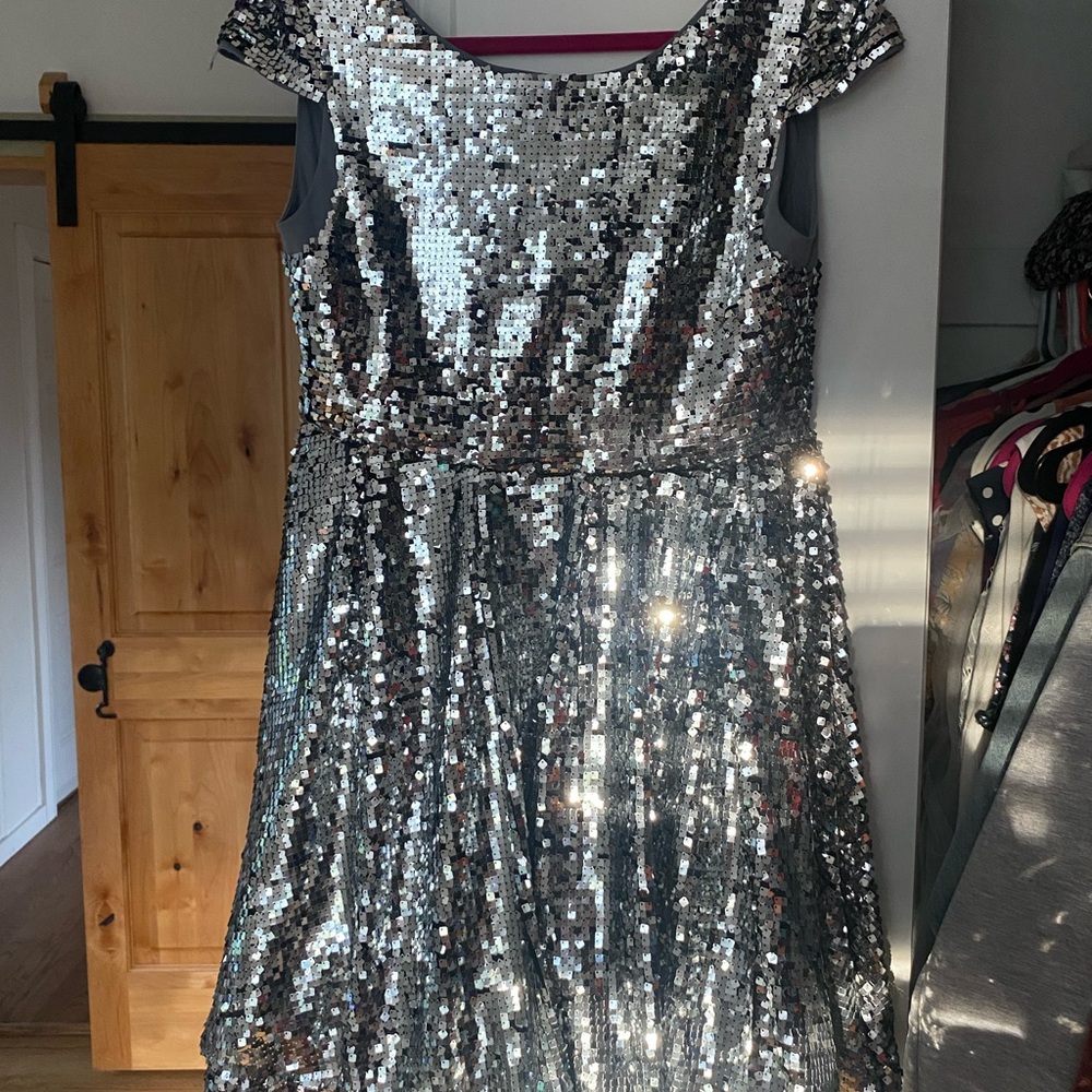 Black Brand Sparkling Silver Mini Dress